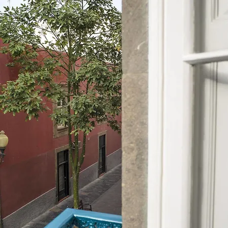 Lejlighed The Loft Las Palmas de Gran Canaria